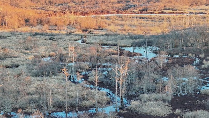 St. Francis 138.5 Calvin Parker Farms Profile -12