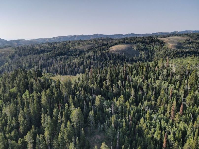 dji_fly_20240717_075236_531_1721224389278_photo 2