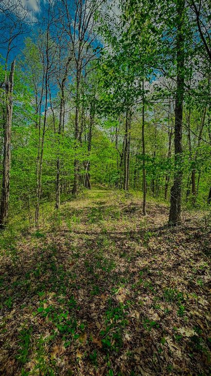 Doddridge, WV 64.69 AC Davis-09