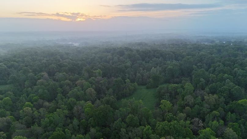 Claiborne Co-314-Fernandez-99