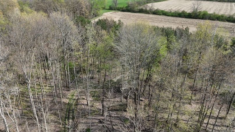 24 DJI_20260425041634_0004_D