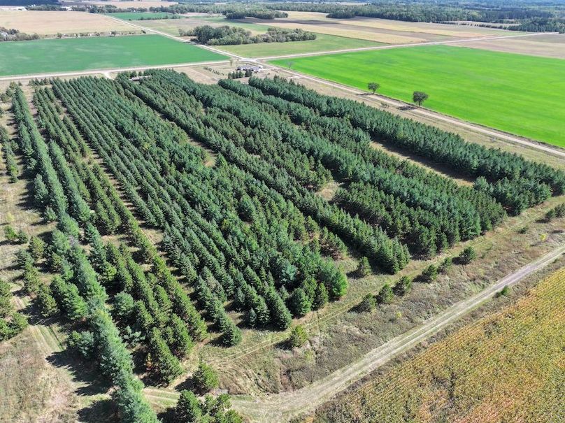 dji_fly_20240924_142120_0288_1727213958892_photo