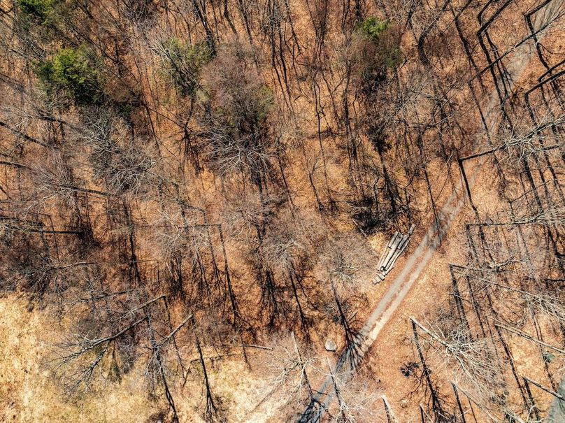 77-web-or-mls-IMG-77