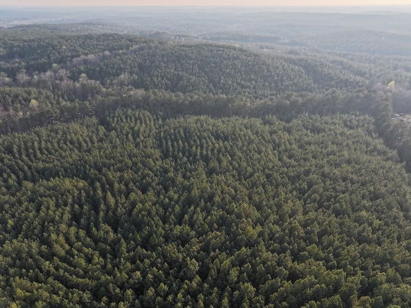 012FE - 83 Acres - Drone-13