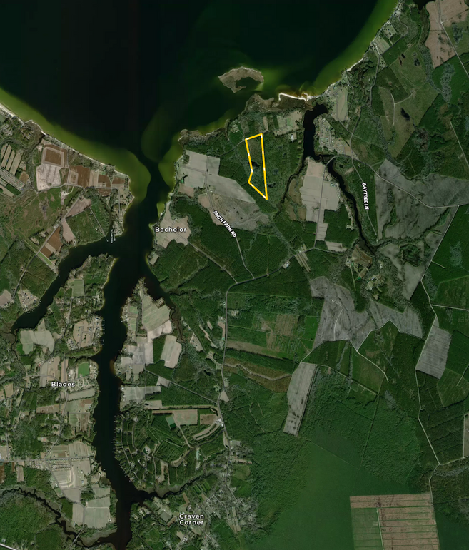 Screen Shot 2024-03-04 at 1.38.18 PM