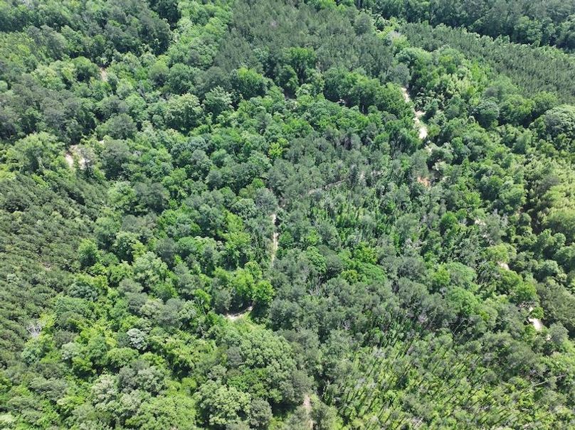 dji_fly_20260518_101806_0201_1779205359097_photo