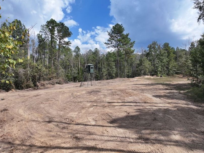 dji_fly_20251001_140716_0611_1759492692042_photo