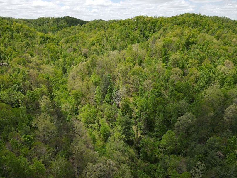 010 aerial view looking up the secondary valley