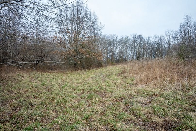 Copy of DSC00757 Large