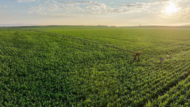 Copy of Copy of DJI_0367