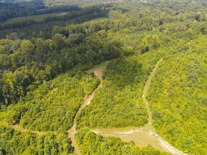 dji_fly_20250729_115952_740_1753804853242_photo