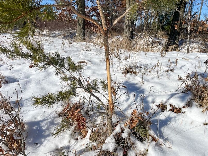 Juneau 105 Cantic -23