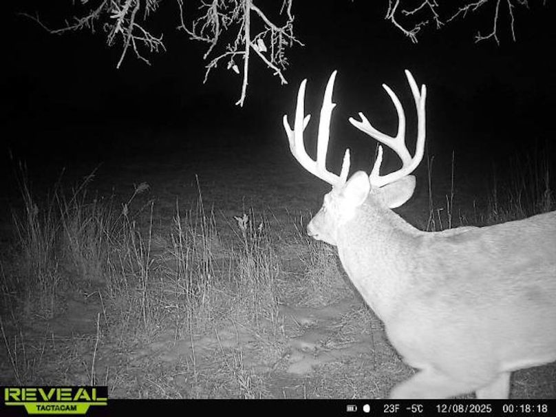 865814042678977-50-2-12082025001818-W1083540