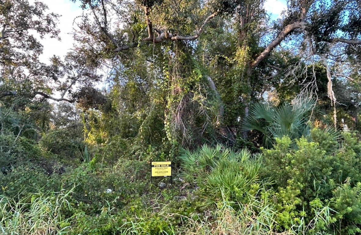 E49C9273-34DC-4CDB-94FB-687873922591_1_105_c