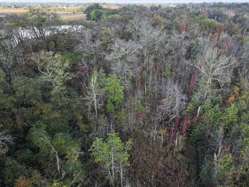 DJI_20251018095412_0132_D