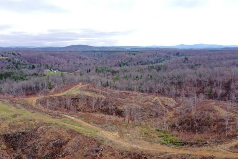 DJI_0451