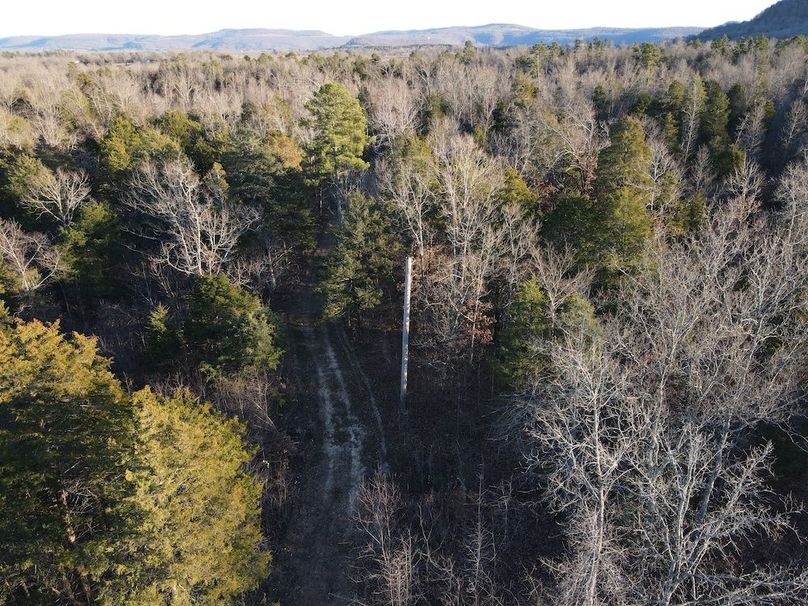 DJI_0302