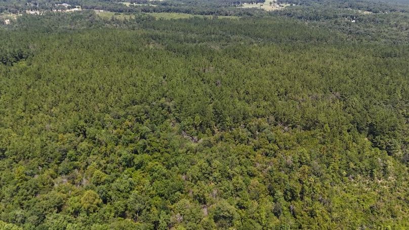 DJI_20240812130927_0011_D