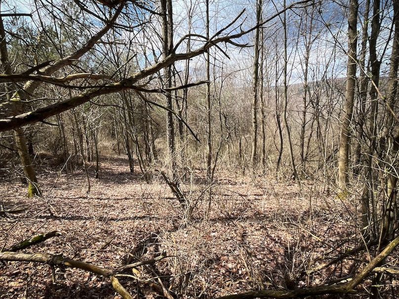 Tioga__NY_109.7_Burris_Photos_59