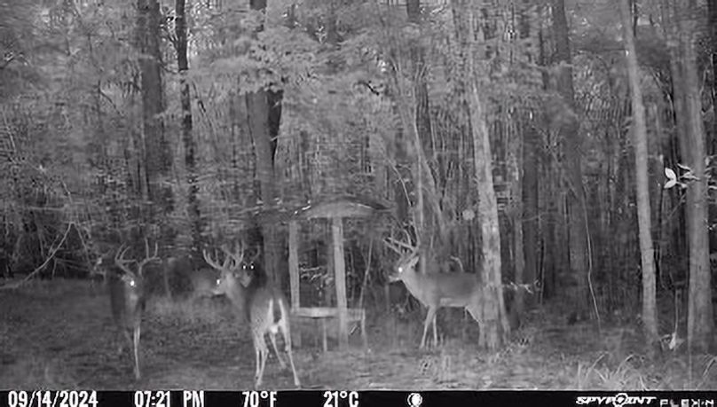 Tallahatchie 847 Trail Cam (JPG)-15