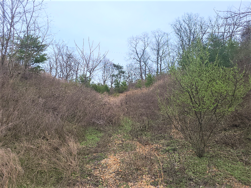 2.87ac_CokesburyRd_CECIL_PIC_010