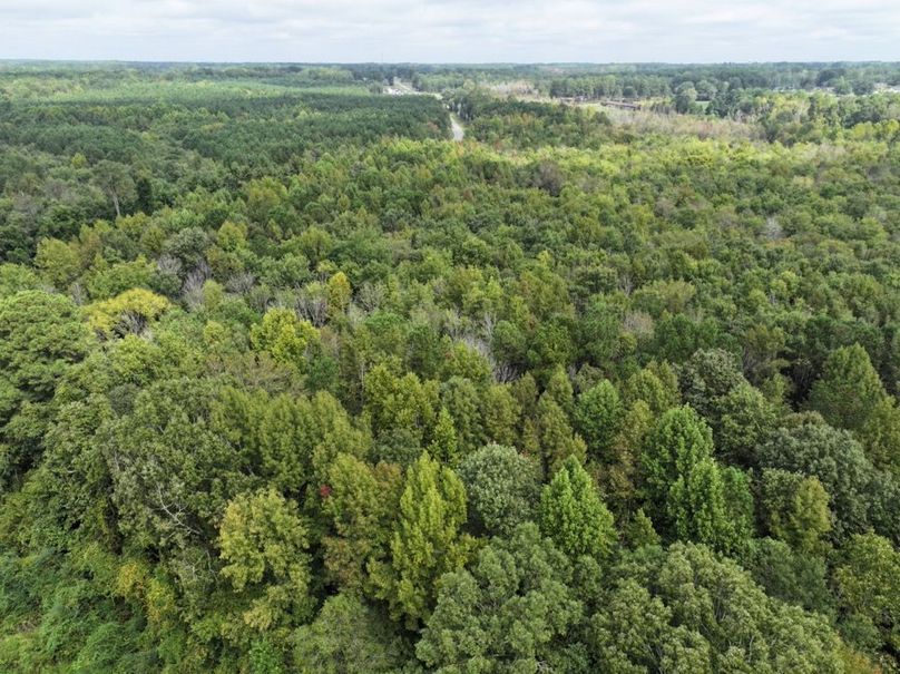 DJI_20240926120817_0011_D