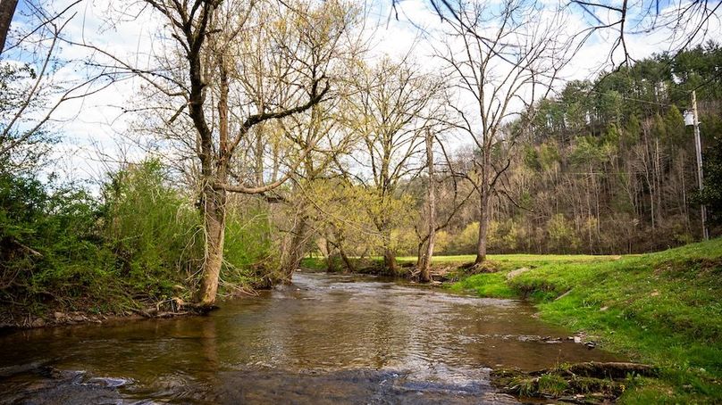 Sevier TN 77.63 Featured_Pro Photo-55