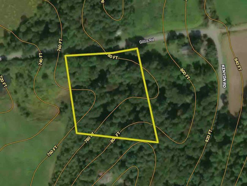 Washington County NY 3.21 Sayles Contour Map