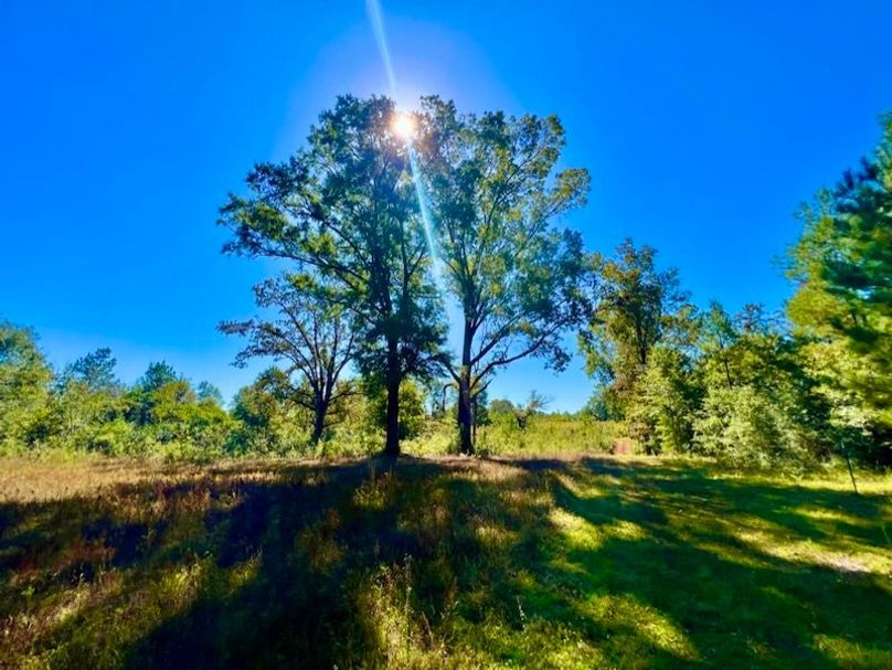 E292DC57-F525-4576-8CC9-4887A9E518ED_1_105_c