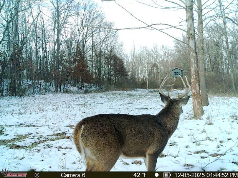 AC26138A-A152-4724-81F6-F7635786DE6A