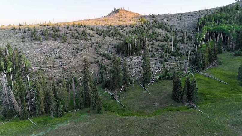 DJI_20250627202544_0103_D