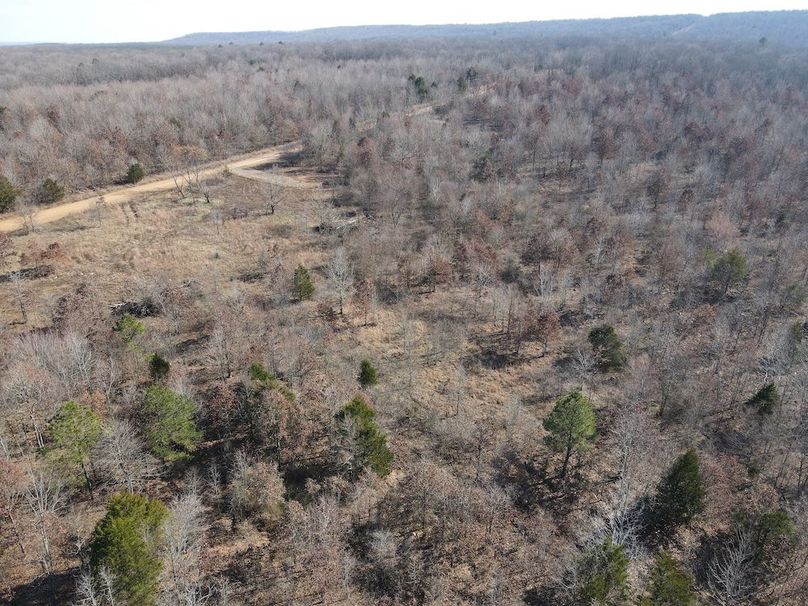 dji_fly_20250213_142158_3_1739478134338_photo