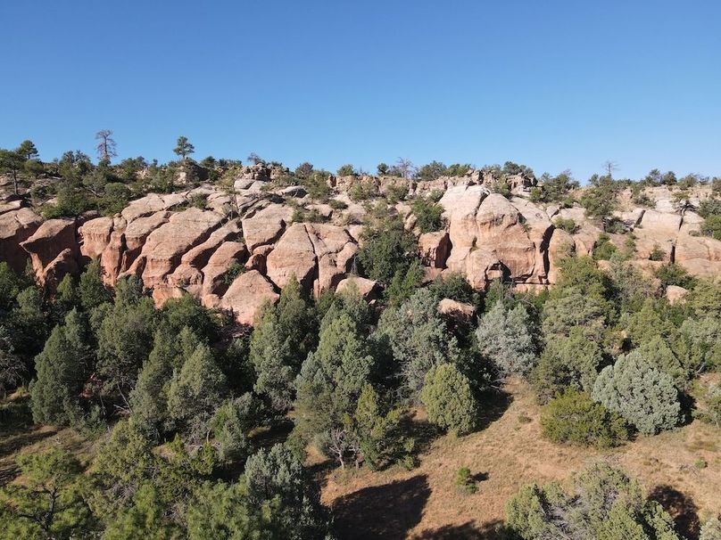 dji_fly_20240816_083458_551_1723818918811_photo