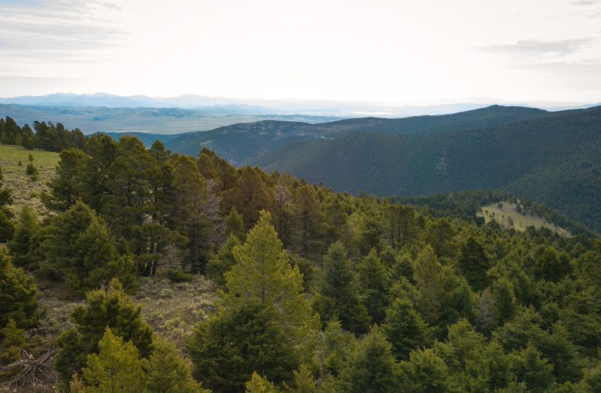 2. 20240513-DJI_0004