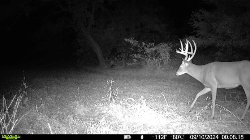 TRAIL CAM 10