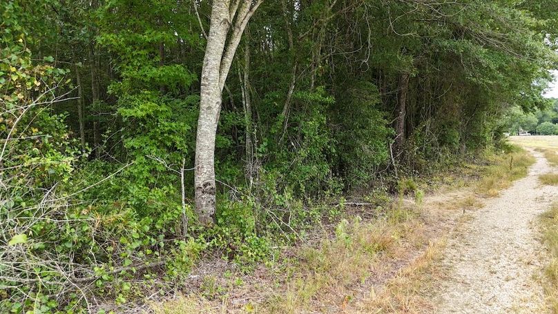 dji_fly_20250715_115838_0619_1752596162048_photo