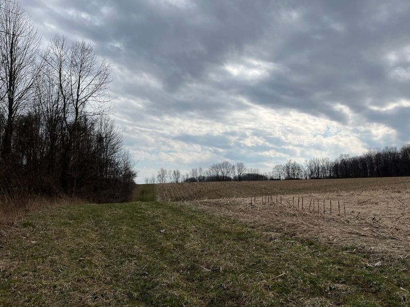 Ontario_96.7_Kiikka Photo 28