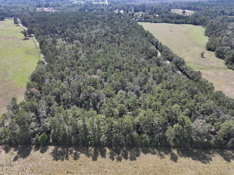 dji_fly_20250929_130258_0560_1759177337684_photo