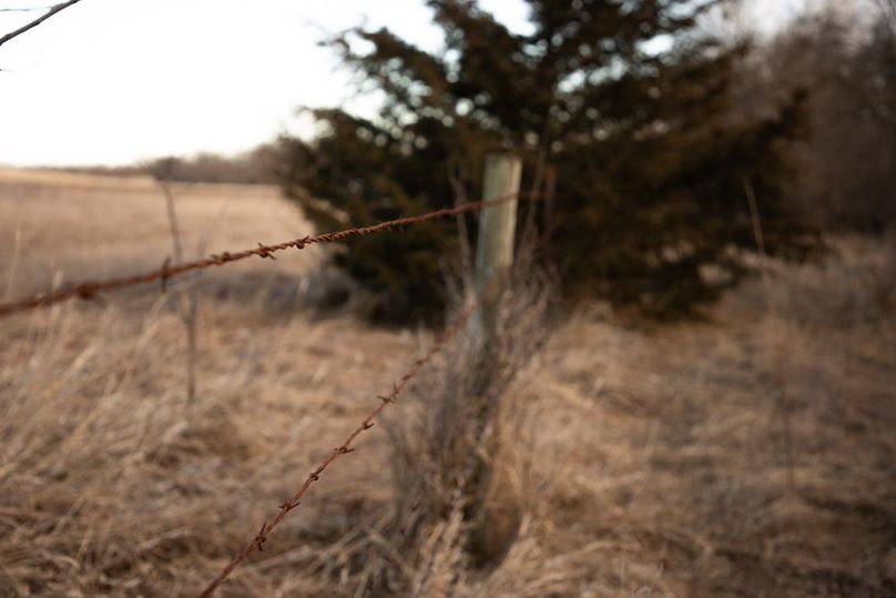 MONTGOMERY CO IA 156.78_67