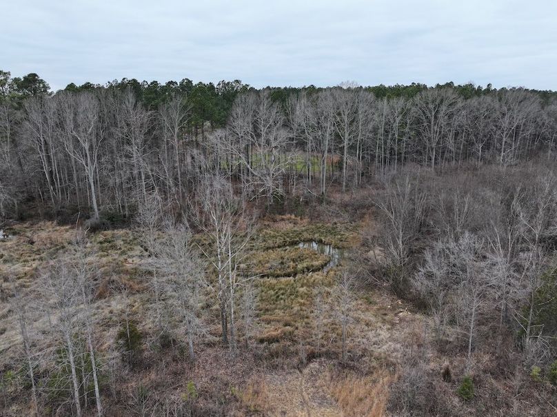 dji_fly_20251224_114502_0245_1767705635809_photo