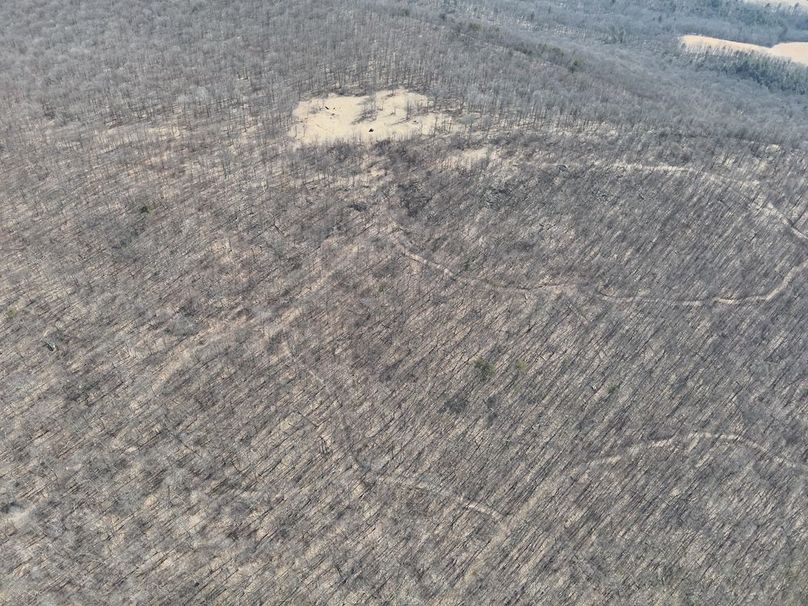 DJI_20250304115120_0019_V