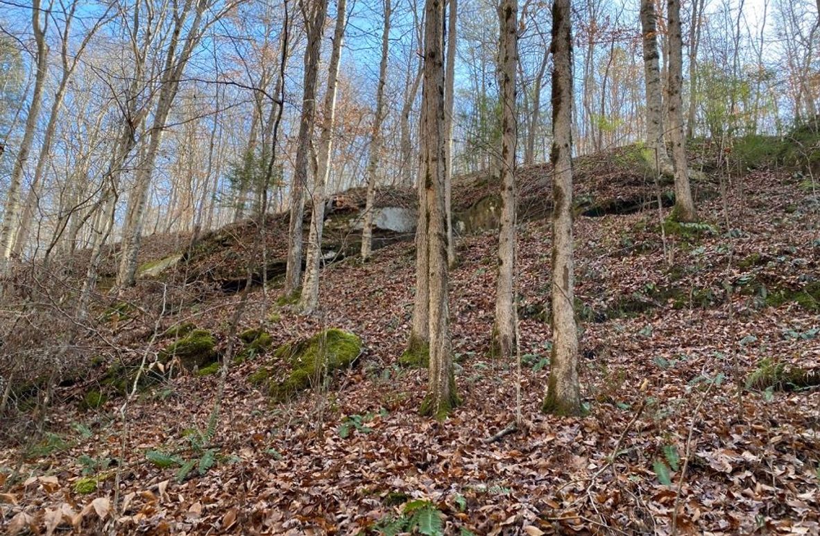 002 beautiful hardwood slope