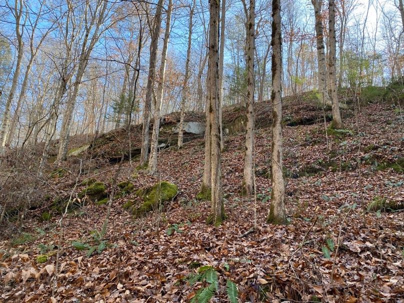 002 beautiful hardwood slope