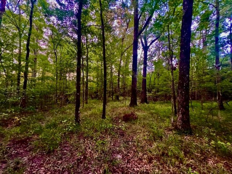 C60B7E54-760C-4C35-A91C-0C58EFB7F869_1_105_c