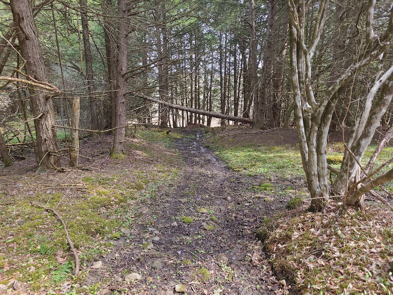 photo_4574b439-c0d7-446d-9707-2818fe0cce21