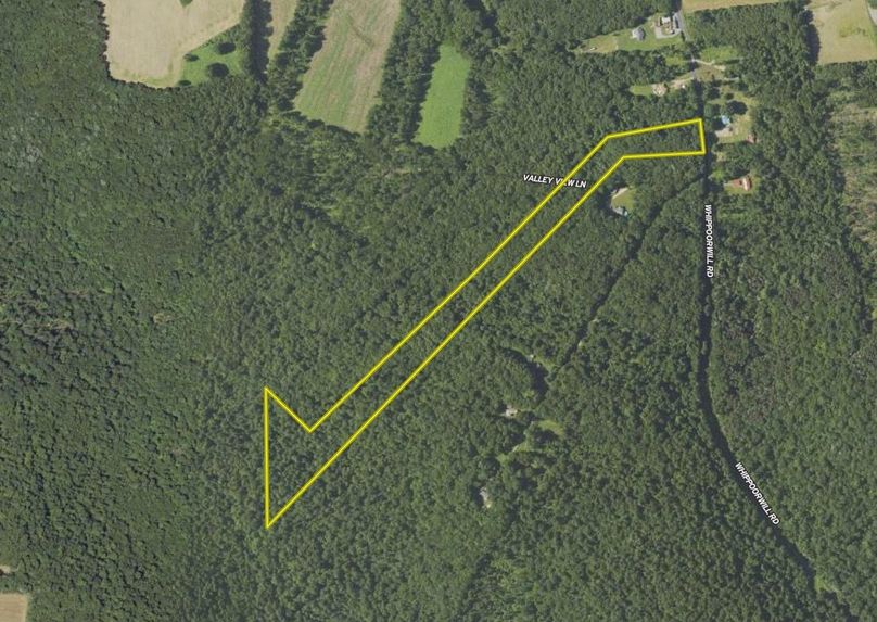 Screen Shot 2024-02-13 at 3.20.47 PM