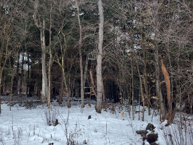 photo_8e7e67b6-bc6c-45fd-8d87-acfffd5eddb2