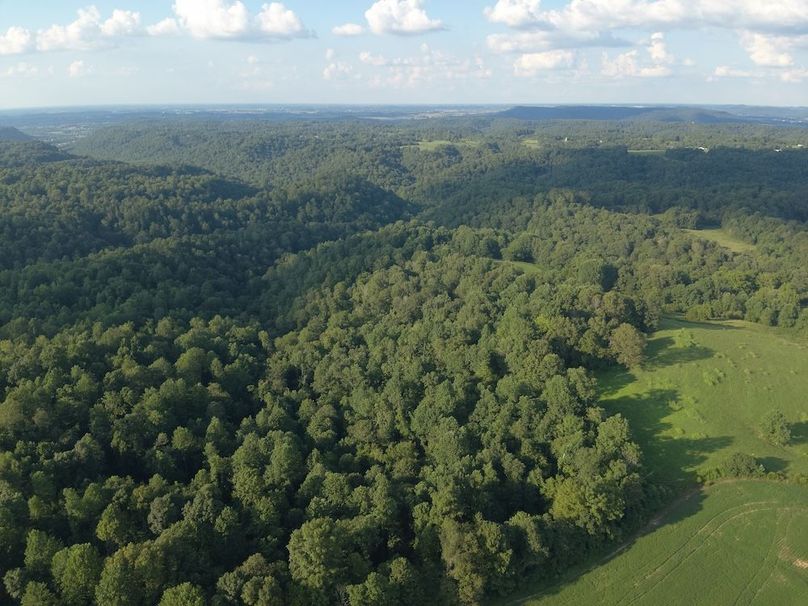 DJI_20250806185128_0009_W