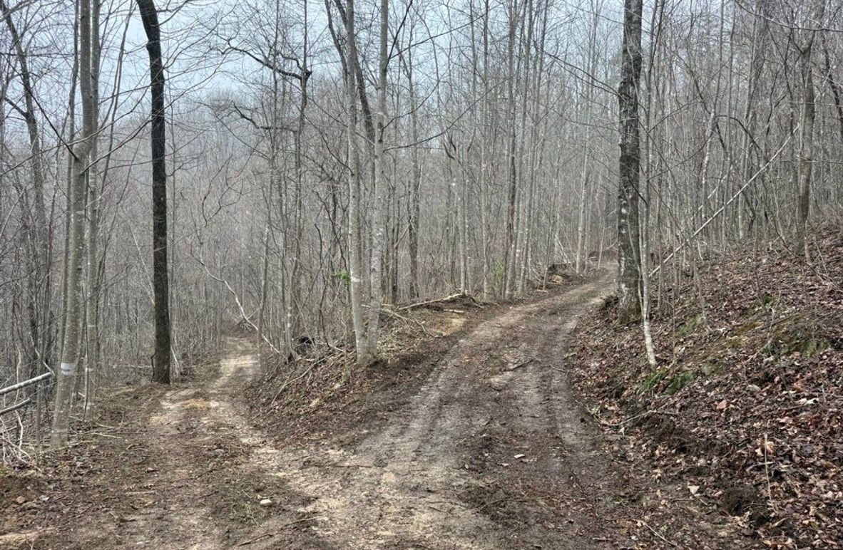 003 nice open road_trail system throughout