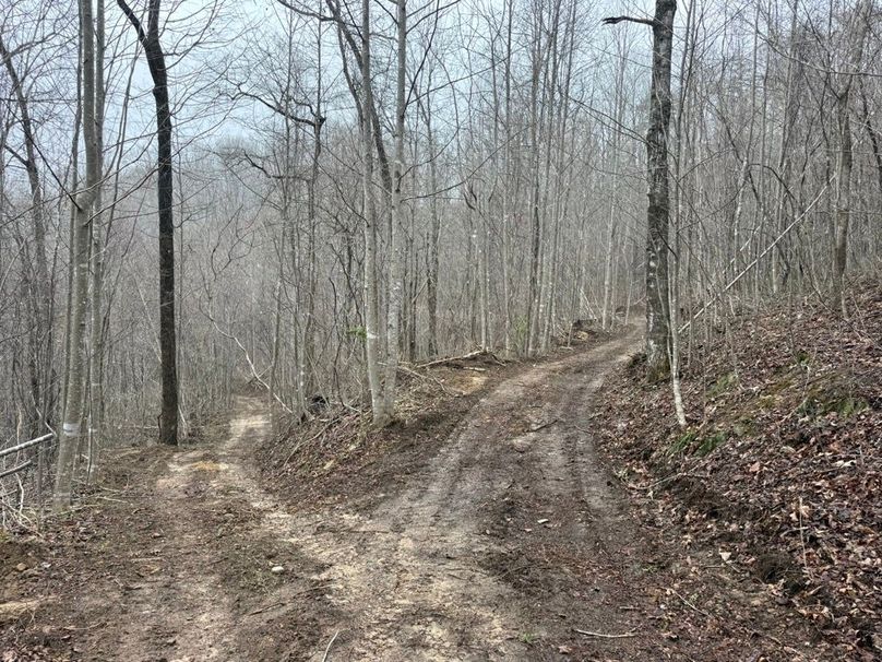 003 nice open road_trail system throughout